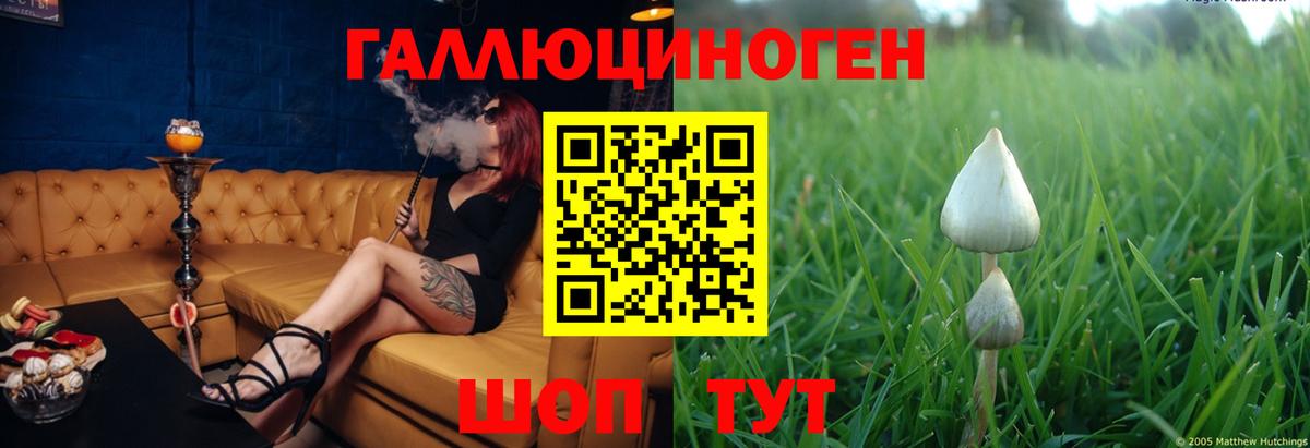 Галлюциногенные грибы Psilocybe  Псилоцибиновые грибы GOLDEN TEACHER  Вход с VPN  Чайковский 